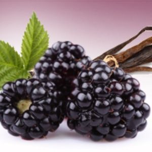 Black Raspberry & Vanilla 6.5oz Soy Candle